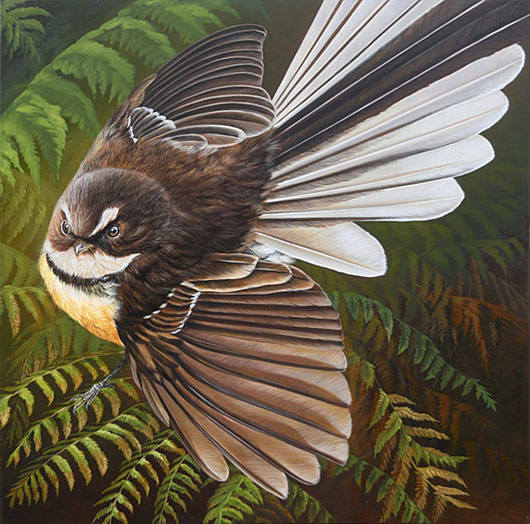 Craig Platt NZ bird artist, Fantail, Oil on canvas